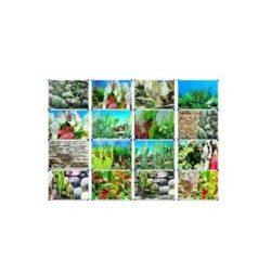 Plastik Poster Çift Yüzlü Resimli