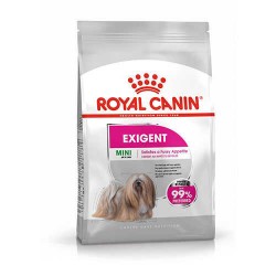 Royal Canin Ccn Mini Exigent Adult Yetişkin Köpek Maması