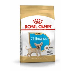 Royal Canin Chihuahua Puppy Yavru Köpek Maması