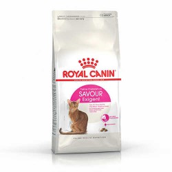 Royal Canin Exigent Seçici Kediler İçin Adult Yetişkin Kedi Maması