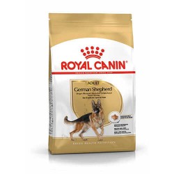 Royal Canın German Shepherd Adult Yetişkin Köpek Maması