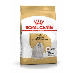 Royal Canin Maltese Adult Yetişkin Köpek Maması