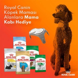 Royal Canin Köpek Maması Alanlara Mama Kabı Hediye