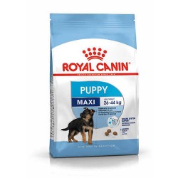 Royal Canin Maxi Puppy  Büyük Irk Yavru Köpek Maması