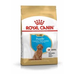 Royal Canin Poodle Puppy Yavru Köpek Maması