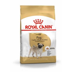 Royal Canin Pug Adult Yetişkin Köpek Maması