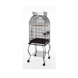Sehpalı Papağan Kafesi Dövme Demir