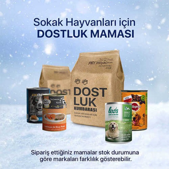 Sokaktaki Dostlarımız Aç Kalmasınlar