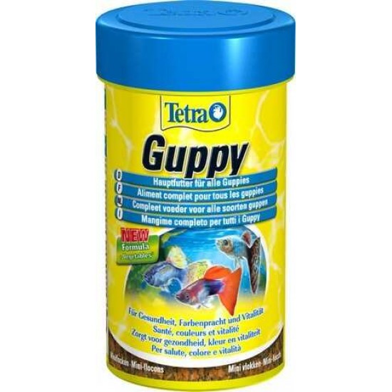 Tetra Guppy Balık Yemi