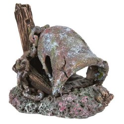 Trixie Akvaryum Dekoru, Gemi Batığı