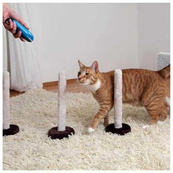 Trixie Kedi Slalom Ve Atlama Oyuncağı