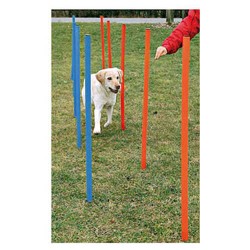 Trixie Köpek Agility Eğitim Direkleri