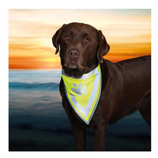 Trixie Köpek Bandanası