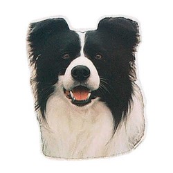 Trixie Border Collie Köpek Çıkartması