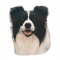 Trixie Border Collie Köpek Çıkartması