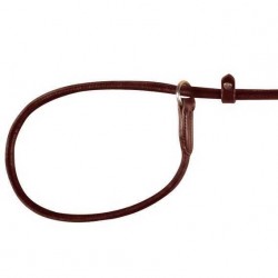 Trixie Köpek Gezdirme Deri Kayışı Kahverengi