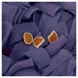 Trixie Köpek Ve Kedi Ödül Gizlenen Halı