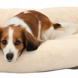 Trixie Köpek Yatağı Açık Kahve/Bej