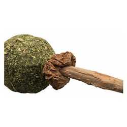 Trixie Matatabi ve Kediotlu Kedi Oyuncağı