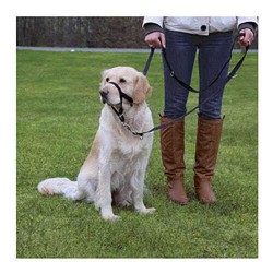 Trixie Uzman Köpek Eğitim Tasması