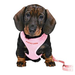 Trixie Yavru Köpek Göğüs Tasma Ve Kayışı Pembe