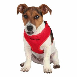 Trixie Yavru Köpek Göğüs Tasma Ve Kayışı Kırmızı