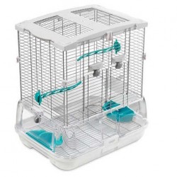 Vision Kafes S01 Kısa