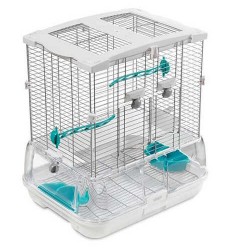 Vision Kafes S01 Kısa