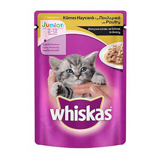 Whiskas Junior Tavuklu Yavru Kedi Konservesi Pouch
