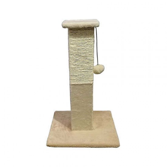 Zampa Kalın Kedi Tırmalama