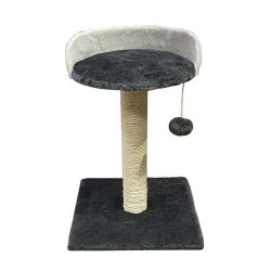 Zampa Oturaklı Kedi Tırmalaması